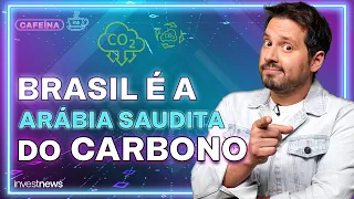 Como investir em CRÉDITO DE CARBONO?
