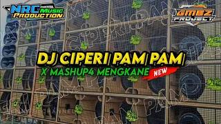 Download Dj Slow bass Ciperi Pam-Pam x Mashup 4 || FREE FLM,AcapellaMengkane🤙 MP3