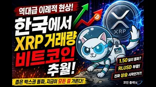 엑스알피(리플) 비트코인 거래량까지 추월했는데, 이번엔 '진짜 추세'일까? #엑스알피(리플)주가전망 #엑스알피(리플)