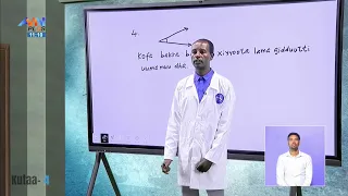 Barnoota Herreggaa Kutaa 4ffaa 