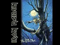 Download Lagu Iron Maiden - Fear Of The Dark (1992) Full Album HQ