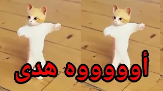 سيتم حذف الاغنية    الأغنية الجديدة بالتعليق المثبت يوتيوب اغنية  هدى الحلوة  دندنها
