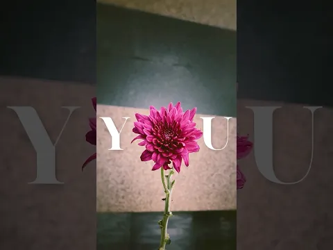 Turn everyday objects into letters and create your own satisfying word art ✨🔤💖#inshot #aesthetic