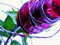don't hit my heart on the ground, turkish art music star