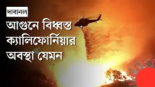 কী অবস্থা আগুনে পুড়তে থাকা লস অ্যাঞ্জেলেসের | Los Angeles | Wildfire | US Fire | News | Prothom Alo