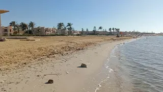 مارينا الساحل الشمالي شوفت حاجه غريبه و عجيبه في البحيره 