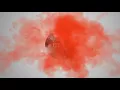 Shal Marshall - Splinters (The 2AM Project)