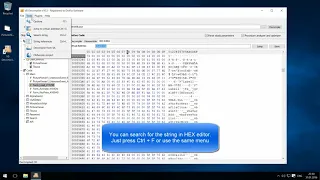 VB Decompiler Native Code Decompilation