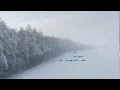 Taylor Swift - ‘tis the damn season (Official Lyric Video)