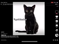 3 Girls 1 Kitten read desc to watch the vid