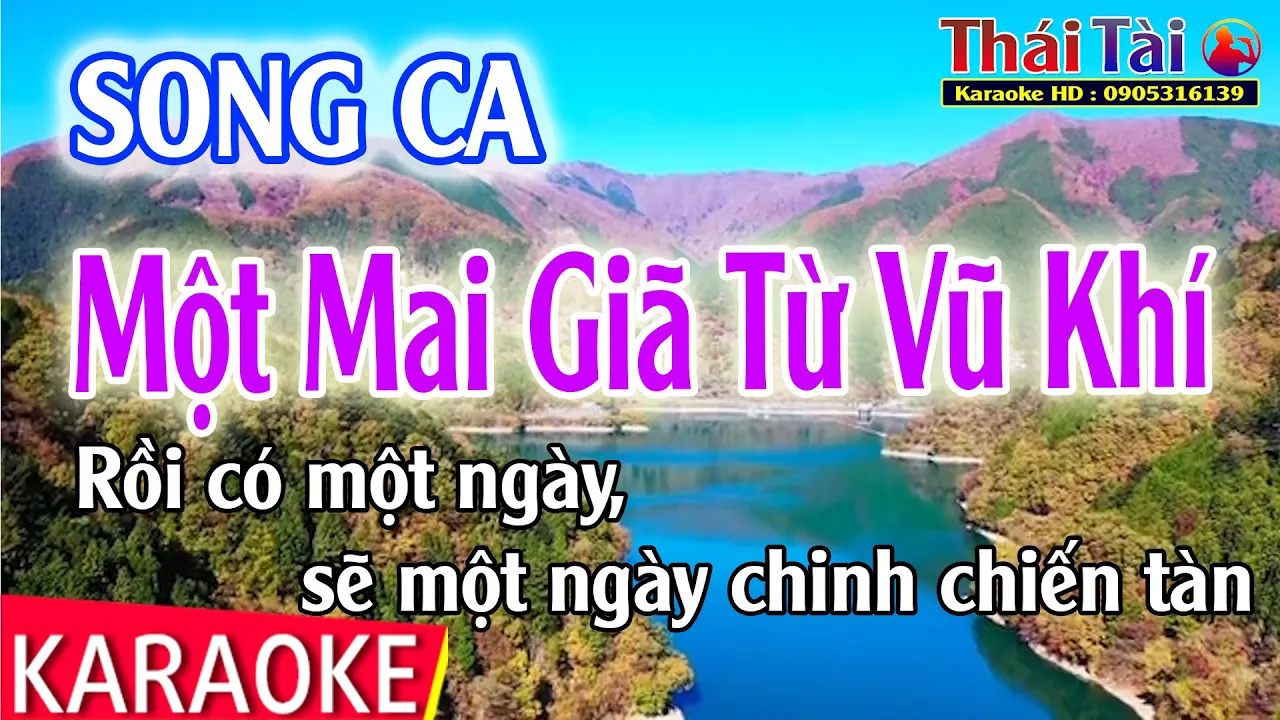 Karaoke Một Mai Giã Từ Vũ Khí Song Ca - Thái Tài