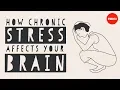 Download Lagu How stress affects your brain - Madhumita Murgia