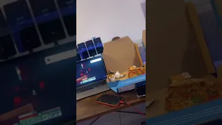 Did you spot it