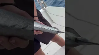 TUNA!!!