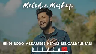 hindi bodo assamese nepali bengali punjabi ll dilasa basumatary ll melodic mashup