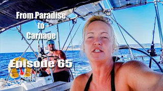 From paradise to carnage. Ep.65 How your day can change within minutes!