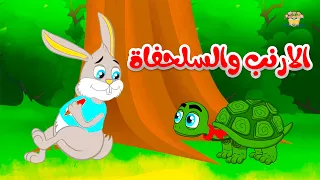 قصة الأرنب والسلحفاة دندنها
