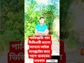 Download Lagu Patna Se chalata Dawaiya         patna se chalata dawaiya ranjeet singh