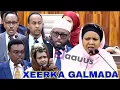 Lagu TOOS: Xeerka Galmada oo mar kale Baarlamaanka la keenay \u0026 Buuq Xildhibaanada diidan..