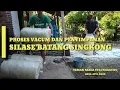 Download Lagu CARA MEMBUAT SILASE BATANG SINGKONG
