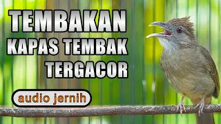 Download KAPAS TEMBAK GACOR FULL TEMBAKAN UNTUK MASTERING DAN PANCINGAN DENGAN AUDIO JERNIH MP3