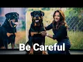 Understanding Dangerous Dog Breeds  Know Before You Own!