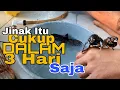 Download Lagu Cara Menjinakkan Burung EMPRIT PEKING Tangkapan LIAR Agar Memiliki Suara DAHSYAT.!!!