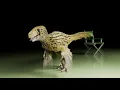 WALKING WITH DINOSAURS - Utahraptor reimagine