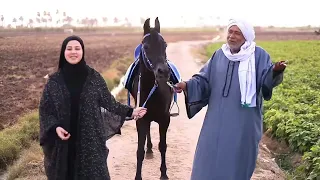 انشودة غنت رباب علي الرباب المنشدة ندي محمود      دندنها