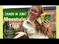 Download Lagu Wat kan je nog ZAAIEN IN JUNI? | Moestuin Tips | Groenten tuin