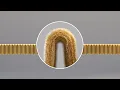 WIX XP Filters Deliver 20 000 Miles of High Performance