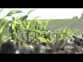 Corn Planting Depth From Ag P 09