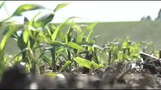 Corn Planting Depth From Ag P 09