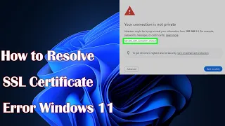 SSL Certificate Error Windows 11 - How to Resolve