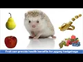 Hedgehog diet - fruit