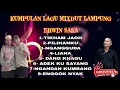 Download Lagu Kumpulan lagu mixdut Lampung ERWIN SAKA