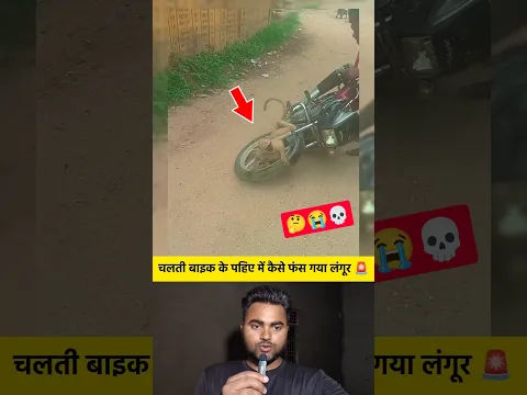 चलती बाइक के पहिए में कैसे फंसा गया लंगूर 🚨 #shorts #langur #bike #accident #animals #viralvideo