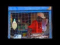 Download Lagu TSA MANDEBELE KIDS DANCE VIDEO (VIBES)