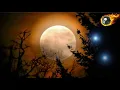 一样的月光 苏芮 歌词版