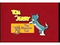 Download Lagu Tom \u0026 Jerry :  The Mansion Cat