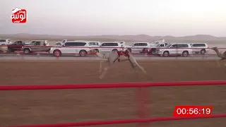 الشوط 1 لهايب لـ سيف سالم بن حمد الدرعي 2 07 56 شارة الصندوق 2024 05 12 فطامين الرقيعات 