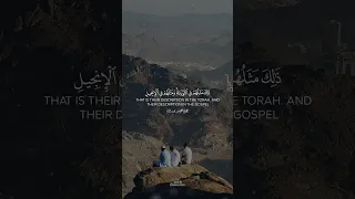 محمد رسول الله والذين معه اشداء على الكفار رحماء بينهم ياسر الدوسري 