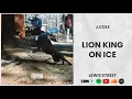J. Cole - Lion King On Ice