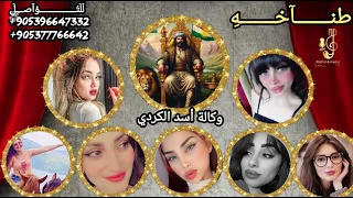 اغنيه وكالة اسد الكردي صبايا ومشرفات الوكاله شيلات حماسيه تحديات الفنان الخال اسكندر اغاني هيبه دندنها