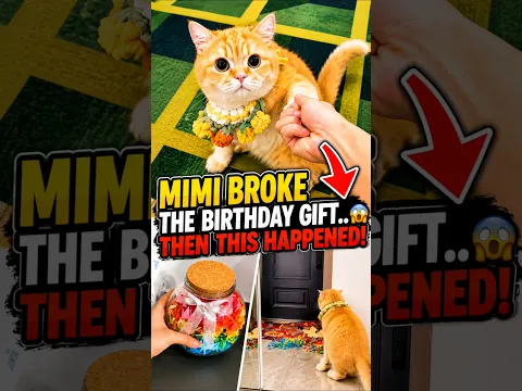 Mimi Broke the Birthday Gift... Then This Happened! 😱