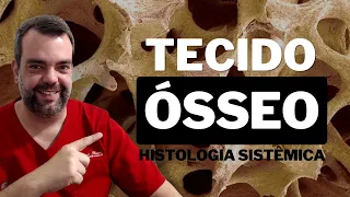 Tecido Ósseo - Histologia Sistêmica - Prof. Otávio Plazzi