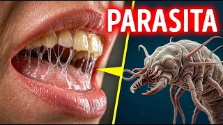 Pesquisadores descobrem nova forma de vida na saliva humana