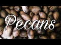 Vintage Electric Pecan Cracker - So much easier