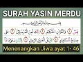 Download Lagu SURAH YASIN MERDU IRAMA LENGKAP BAYYATI SAMPAI JIHARKAH AYAT 1- 46