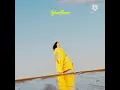 09 Big Star - Lorde